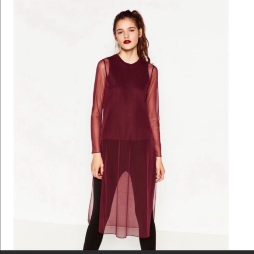 NWT Zara Mesh Shirt Dress